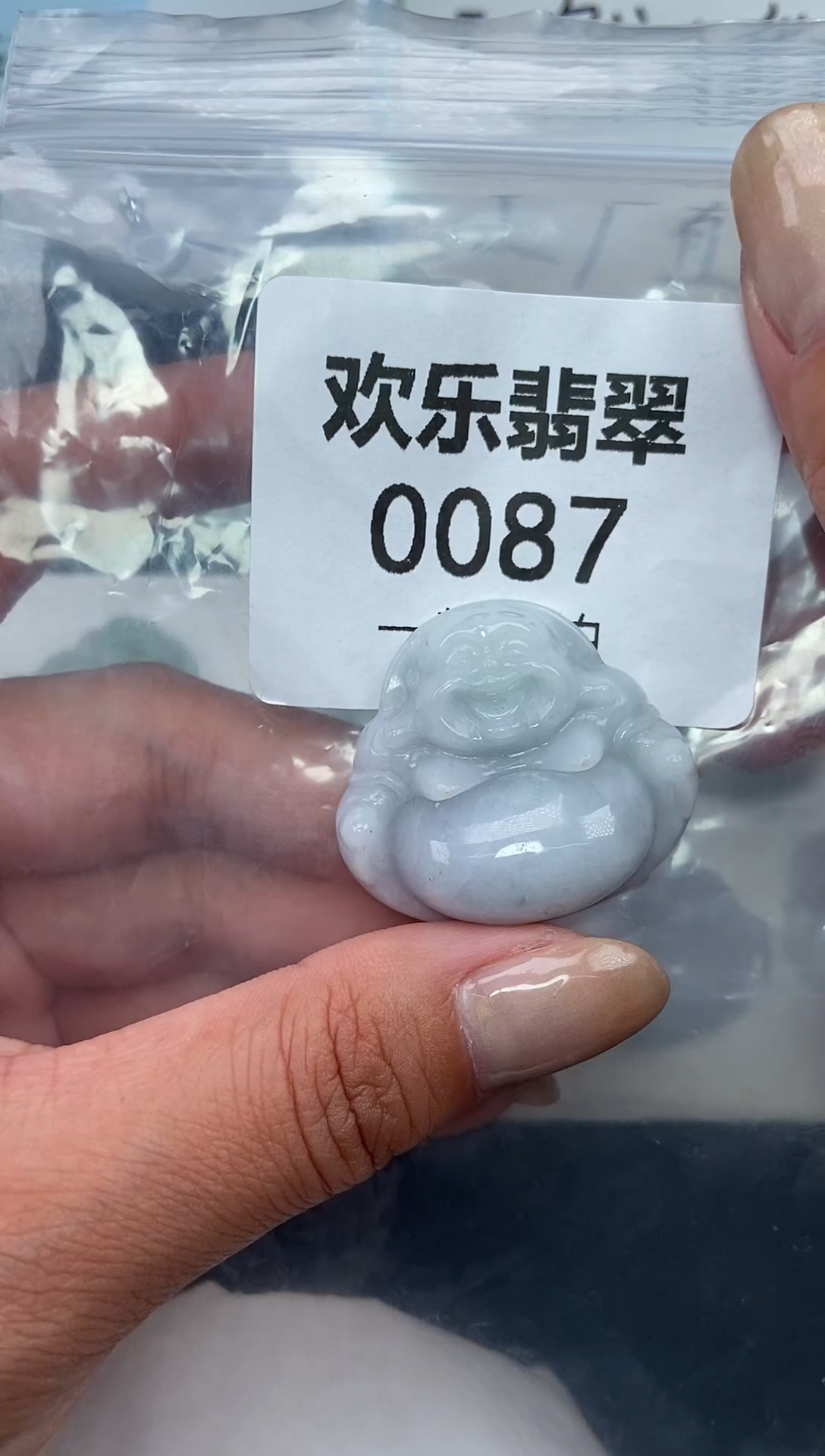 颈饰未镶嵌翡翠缅甸天然翡翠0087