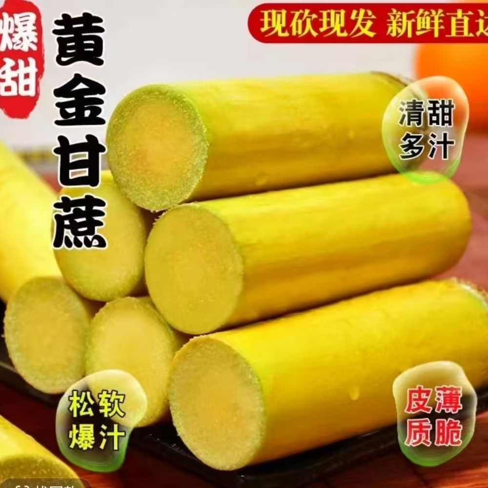 云南黄金甘蔗应季新鲜水果现砍现发脆甜多汁