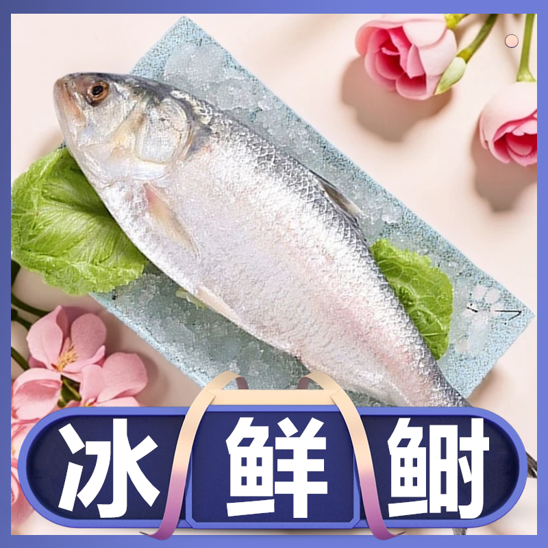 酒香蒸鲥鱼整条开背海鲜冷冻酒店半成品特色菜海鲜预制菜1.6斤/条