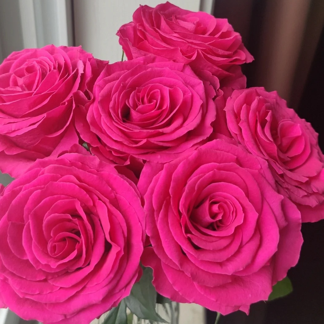 【热点玫瑰】全场满2单顺丰包邮/1单默认发中通快递