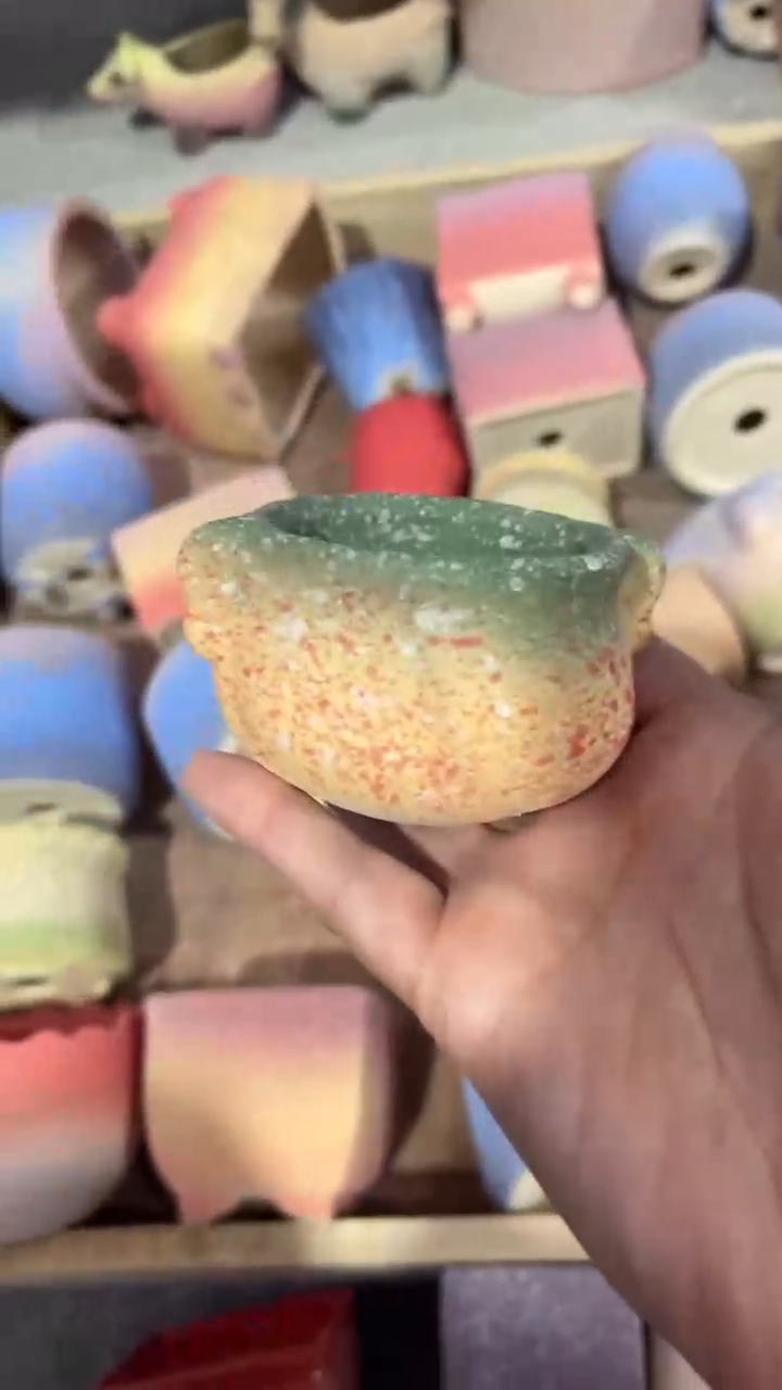 【闪购商品】陶内口  6 内高4