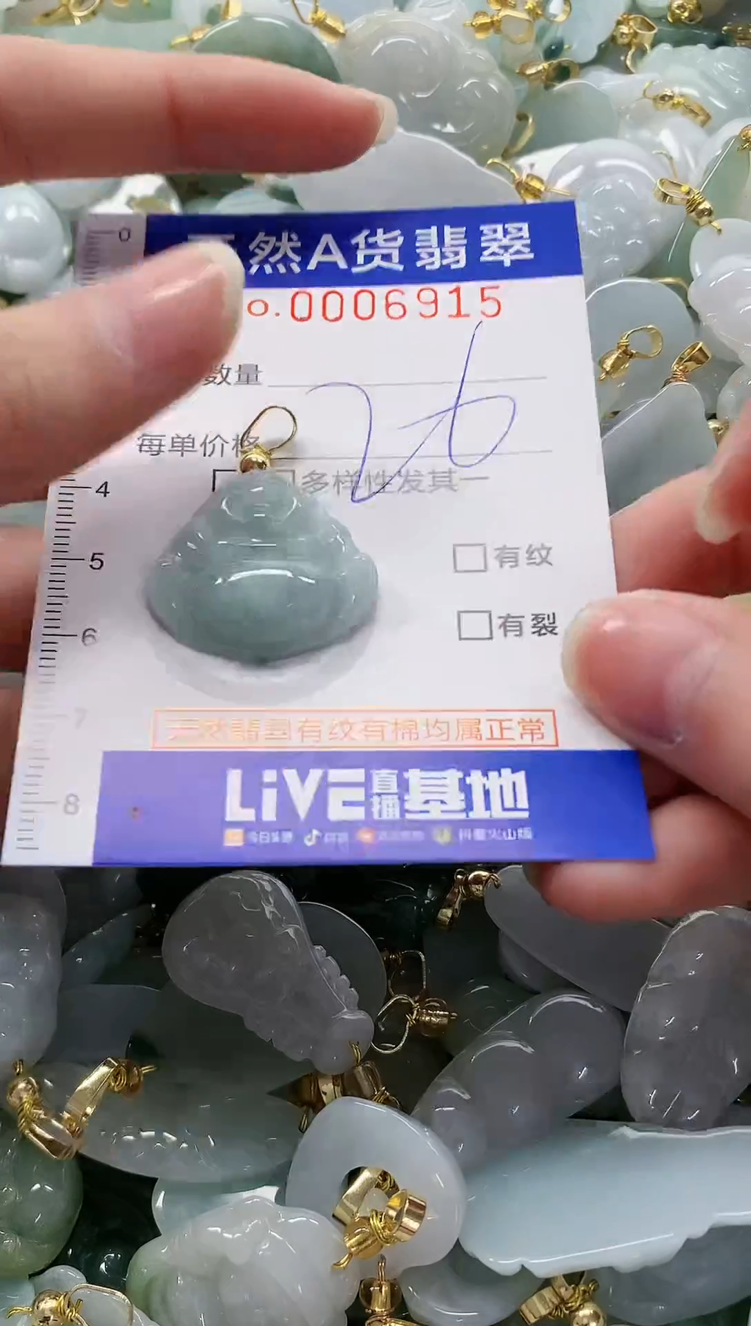 颈饰未镶嵌翡翠纯天然a货翡翠