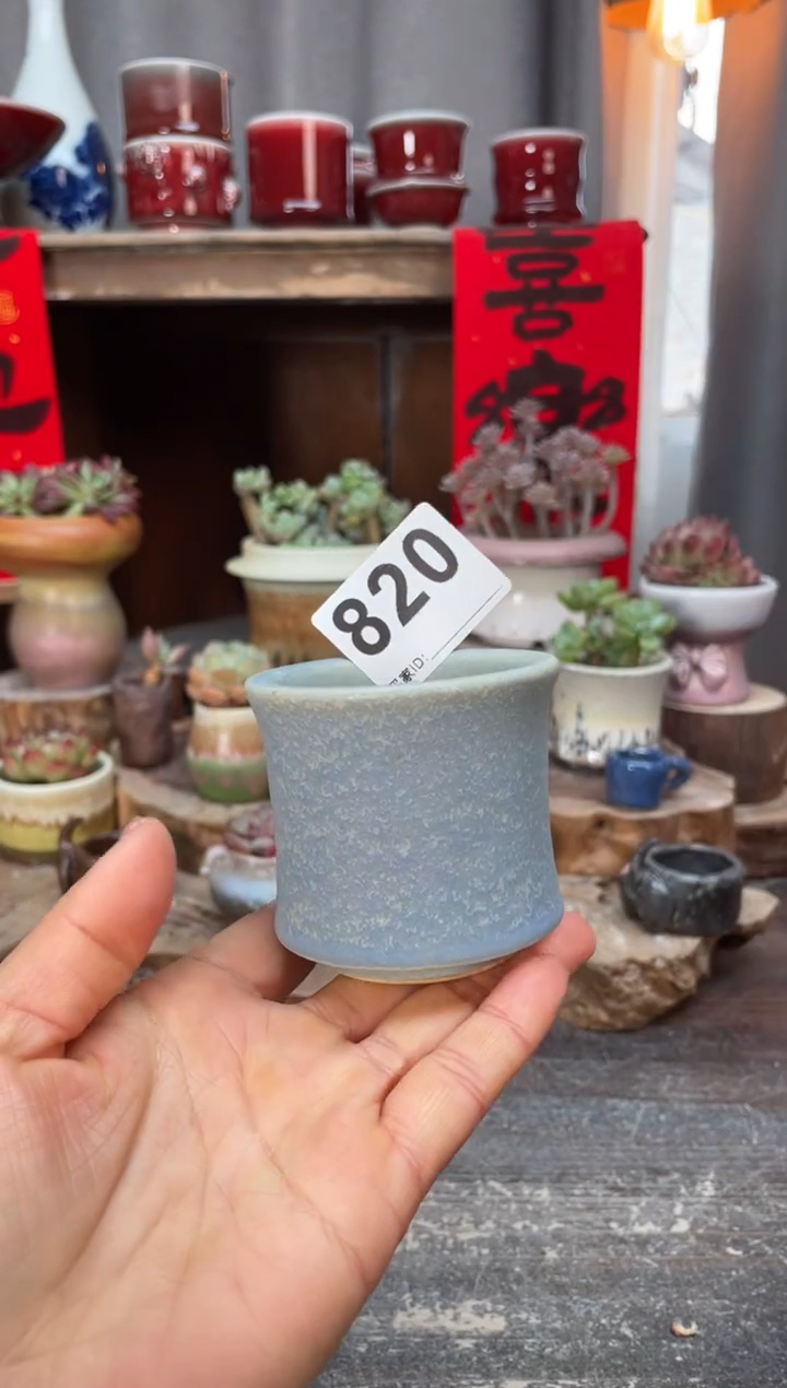 【闪购商品】摆件820知木小芳花盆