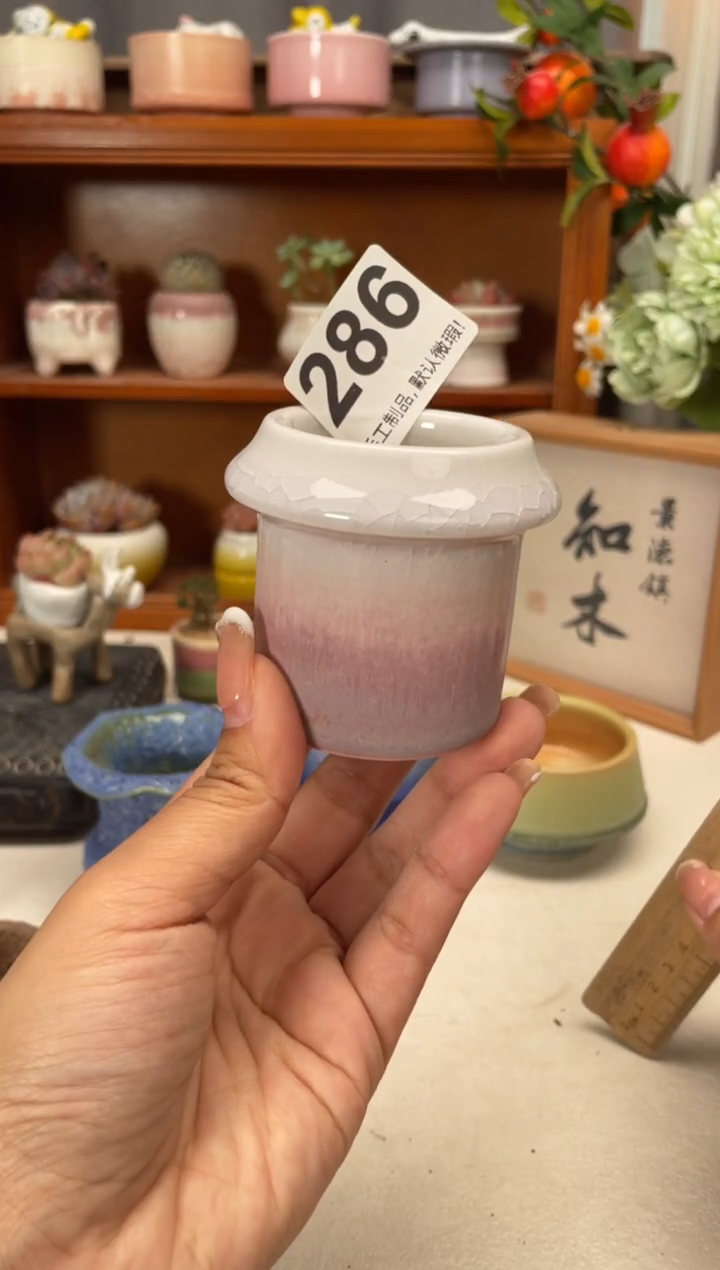 瓷片286知木小芳花盆编号