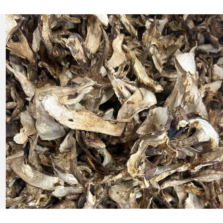 【松茸干】玫瑰古树普洱一片+松茸干