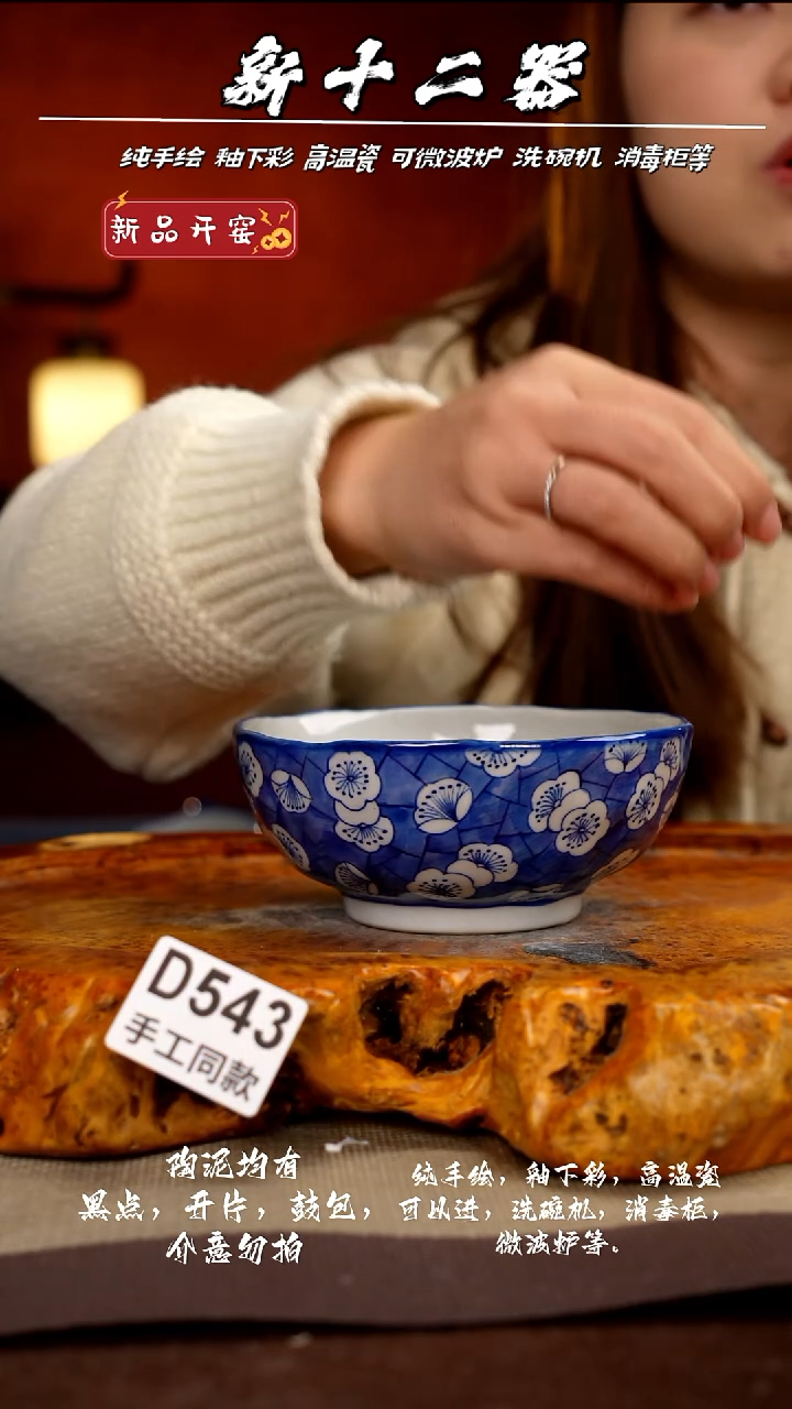 D543新十二器瓷器