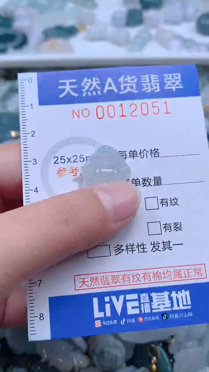 翡翠未镶嵌吊坠(不含链)1