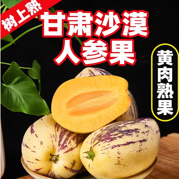 （树上自然成熟）甘肃民勤沙漠果低糖低脂黄肉清甜当季新鲜水果