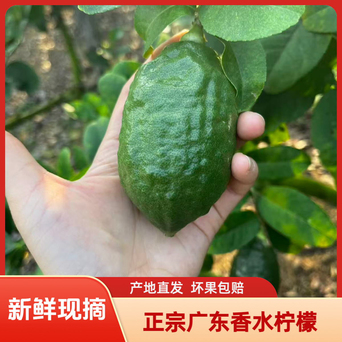 �㶫��ˮ���ʶ����� �������� �ļ������ʲ���̯�̲��ר�� 4.8�������