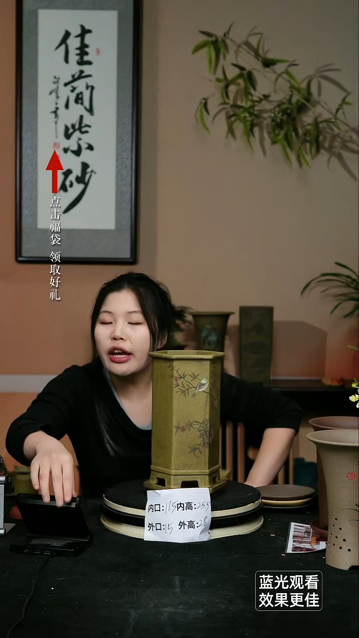 紫砂花盆龙骨青砂手绘石榴小鸟六方签筒一个带托