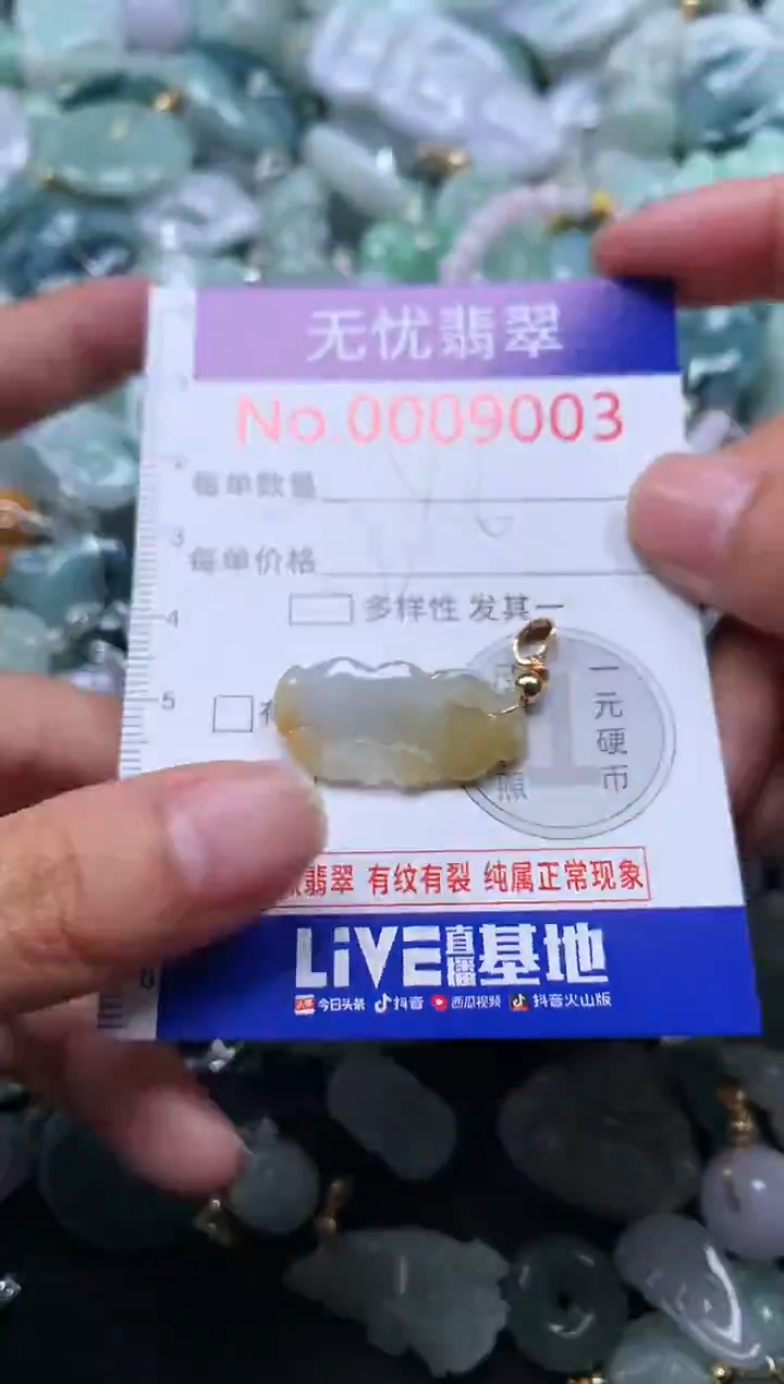 颈饰未镶嵌翡翠9003