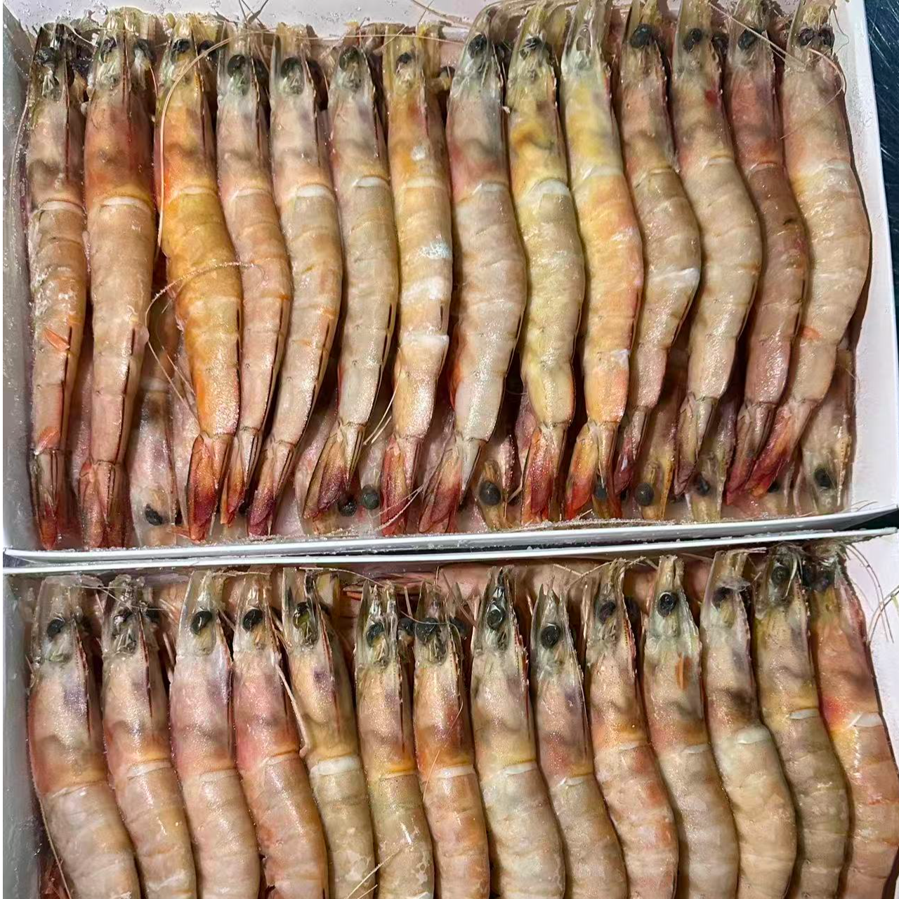 野生大明虾/大白丁 速冻礼盒装 2斤/3斤