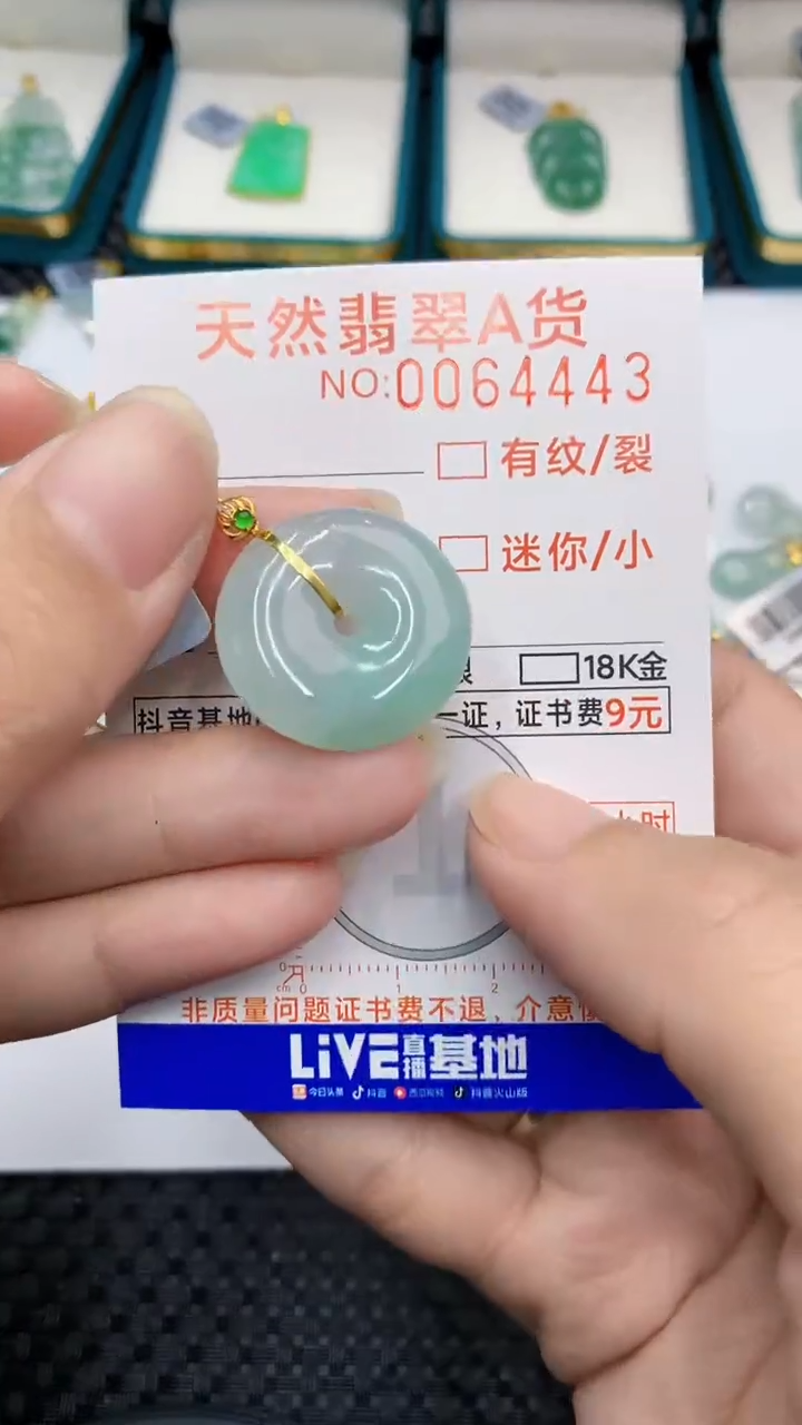 【闪购商品】翡翠颈饰18K金镶嵌            8