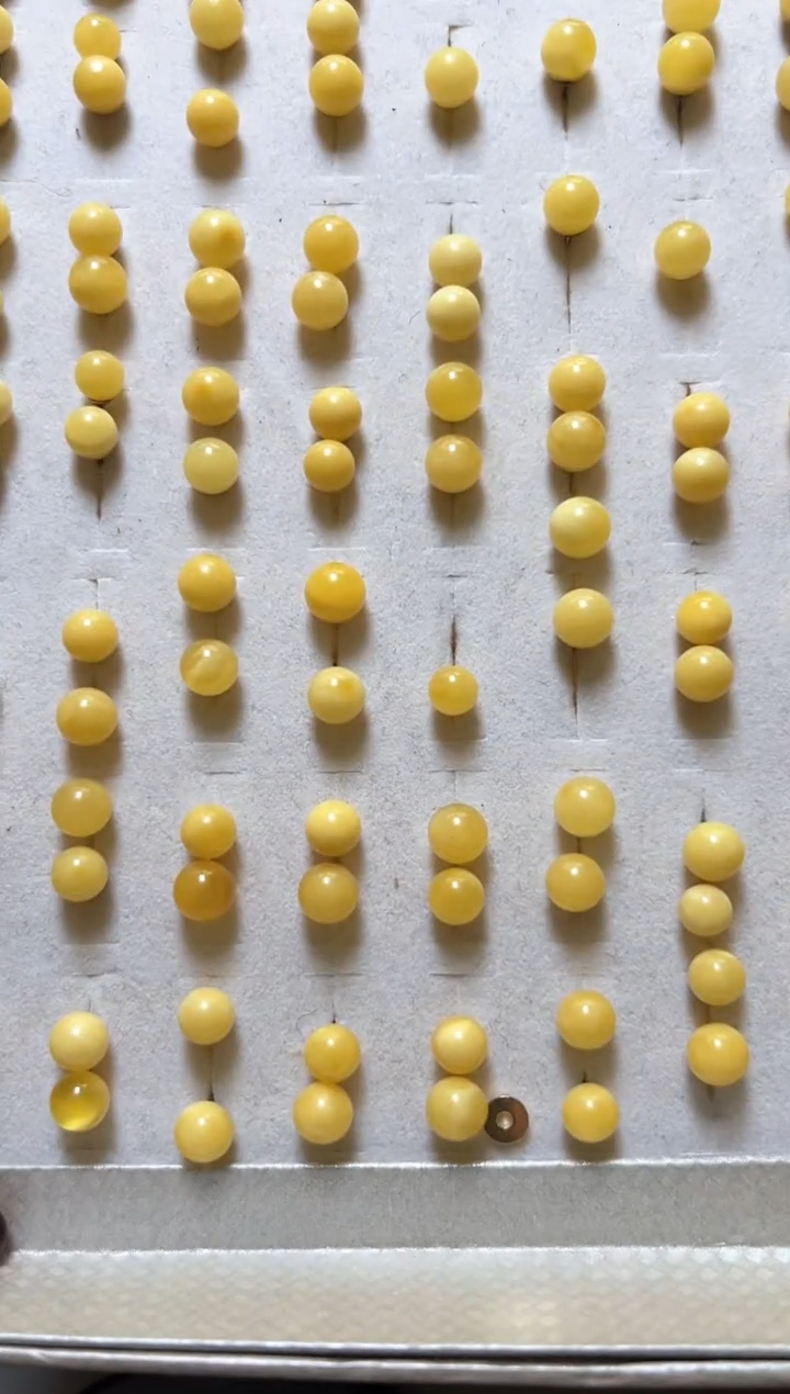 【闪购商品】蜜蜡耳饰银S925镶嵌蜜蜡耳饰随机发一对