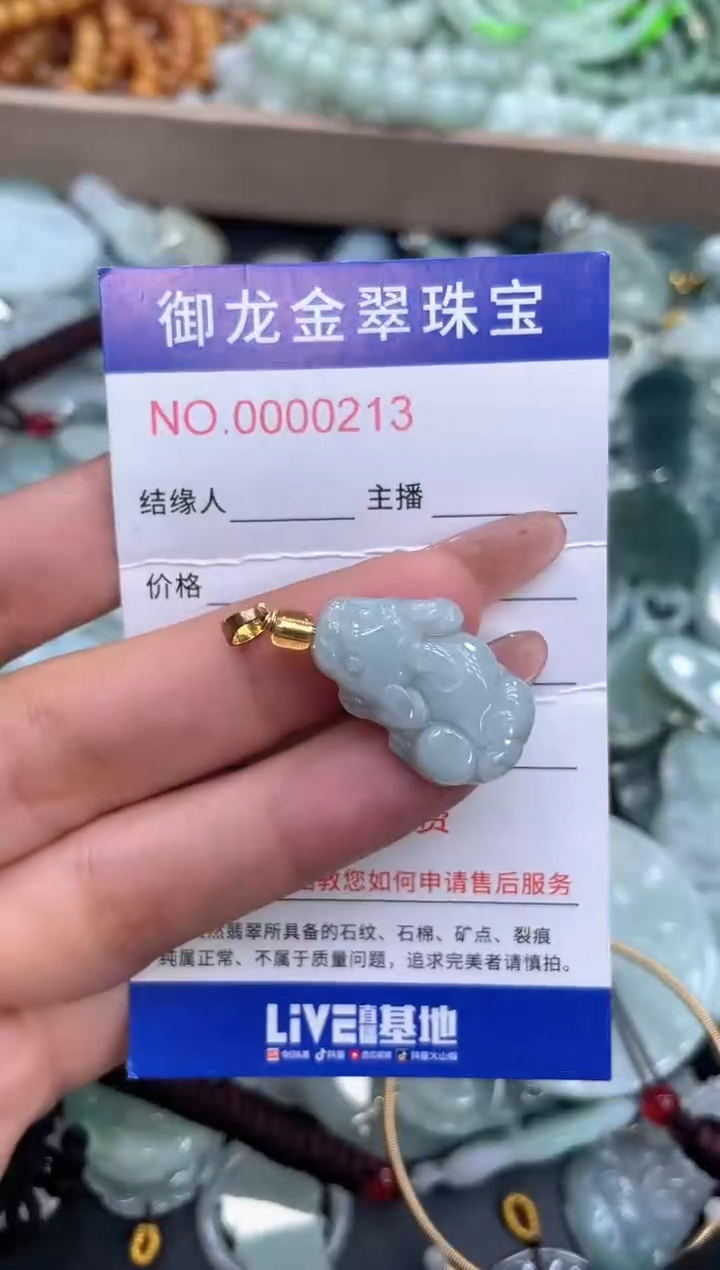 颈饰未镶嵌翡翠020