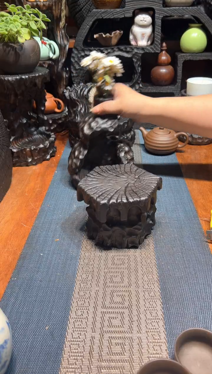 香樟木香樟木一物一拍