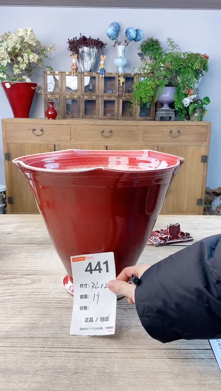 小玩子花盆直播号441