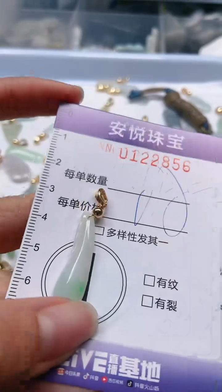 【闪购商品】翡翠颈饰未镶嵌闪购0122856