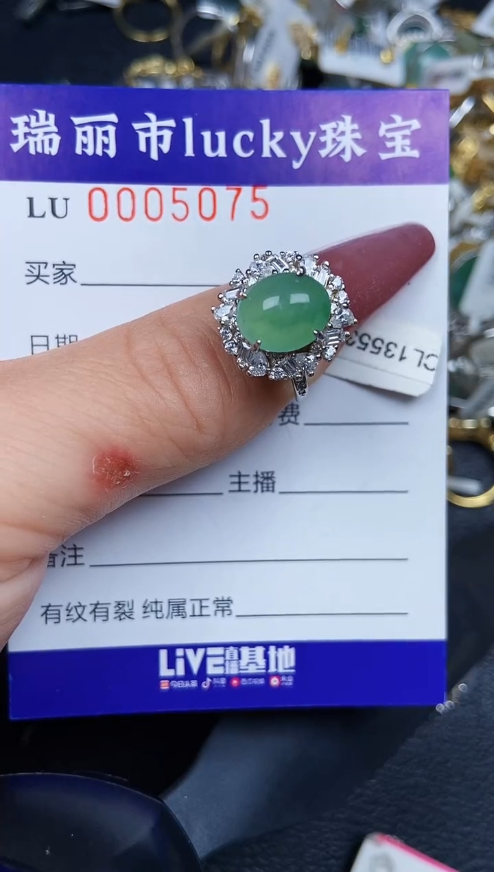 翡翠银S925镶嵌颈饰5075