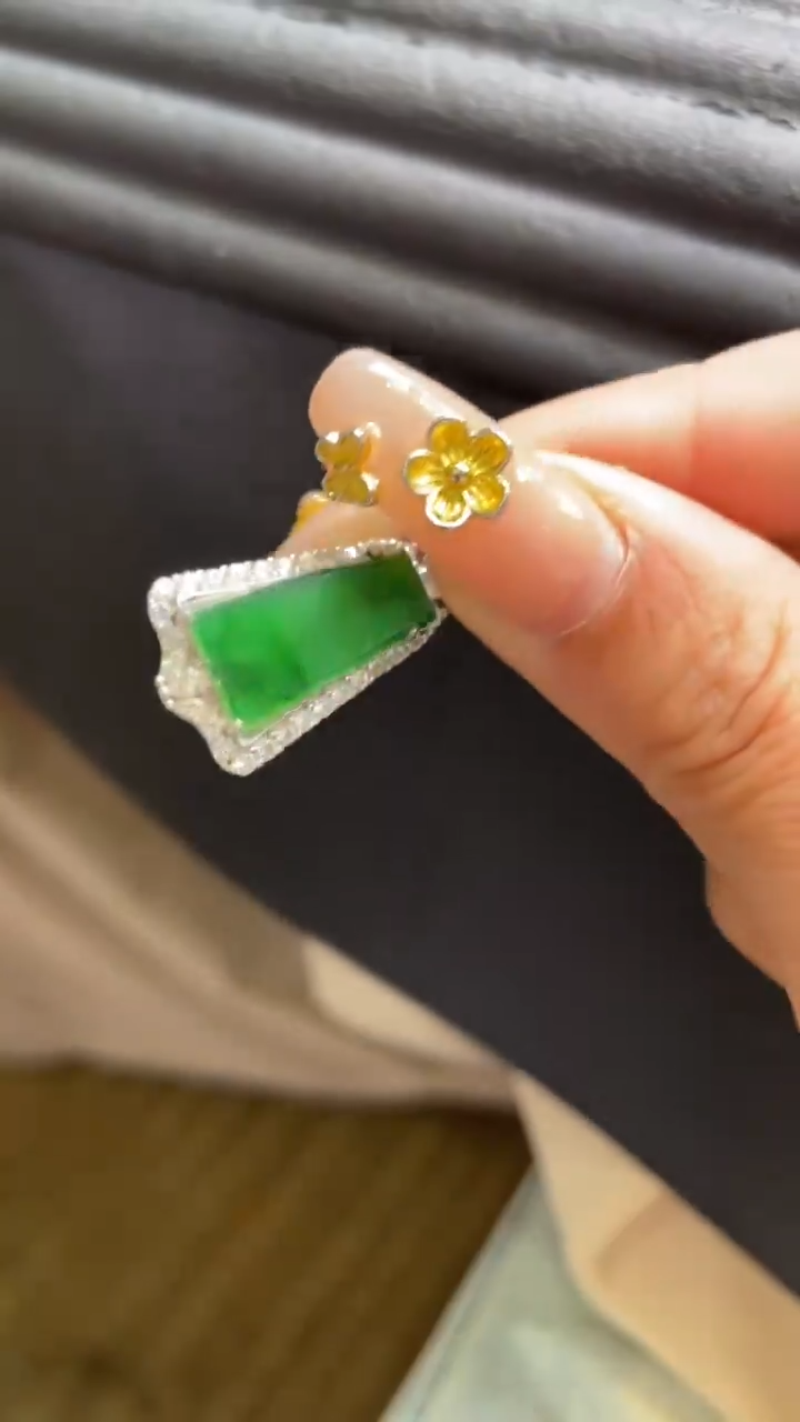 【闪购商品】翡翠颈饰未镶嵌      *181