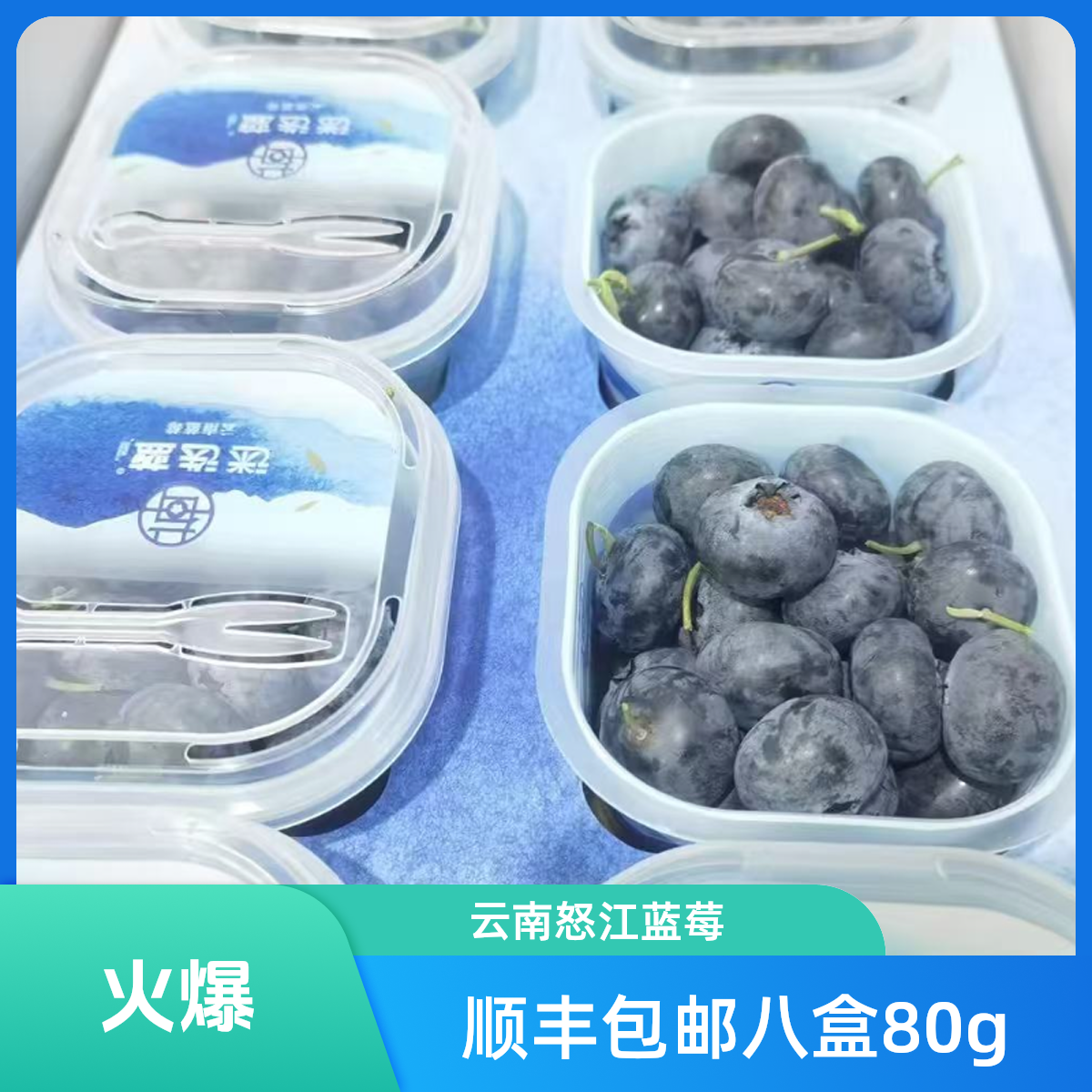 【迷迭蓝蓝莓15-18+】八盒装顺丰包邮一盒100克云南省