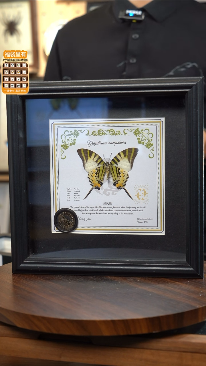 五指发财蝶双鱼款8寸欧式方框