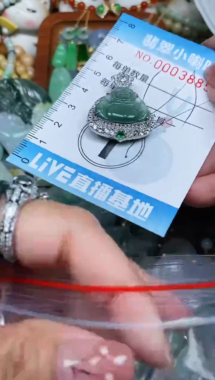 【闪购商品】翡翠颈饰未镶嵌闪购0003885