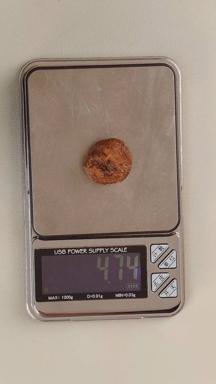 【闪购商品】沉香手把件越南富森红土沉水4.7g