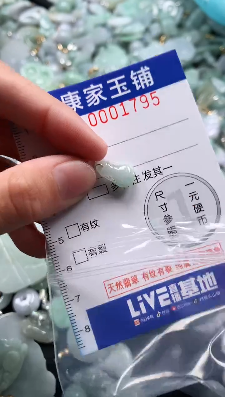 颈饰未镶嵌翡翠1795