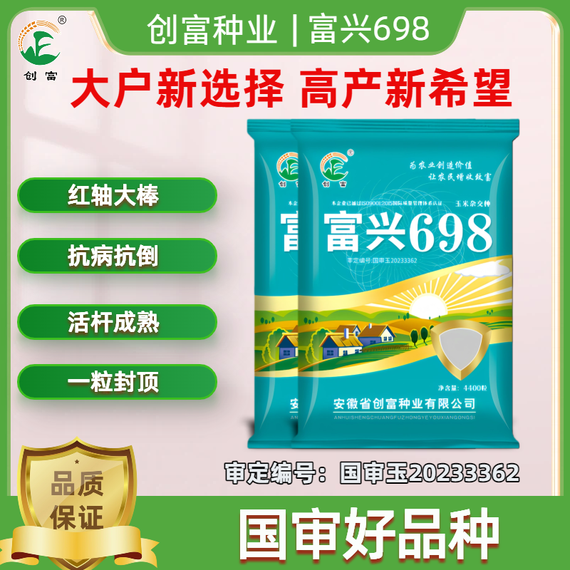 优质角质粮 红轴大棒 抗倒抗病 大户首选