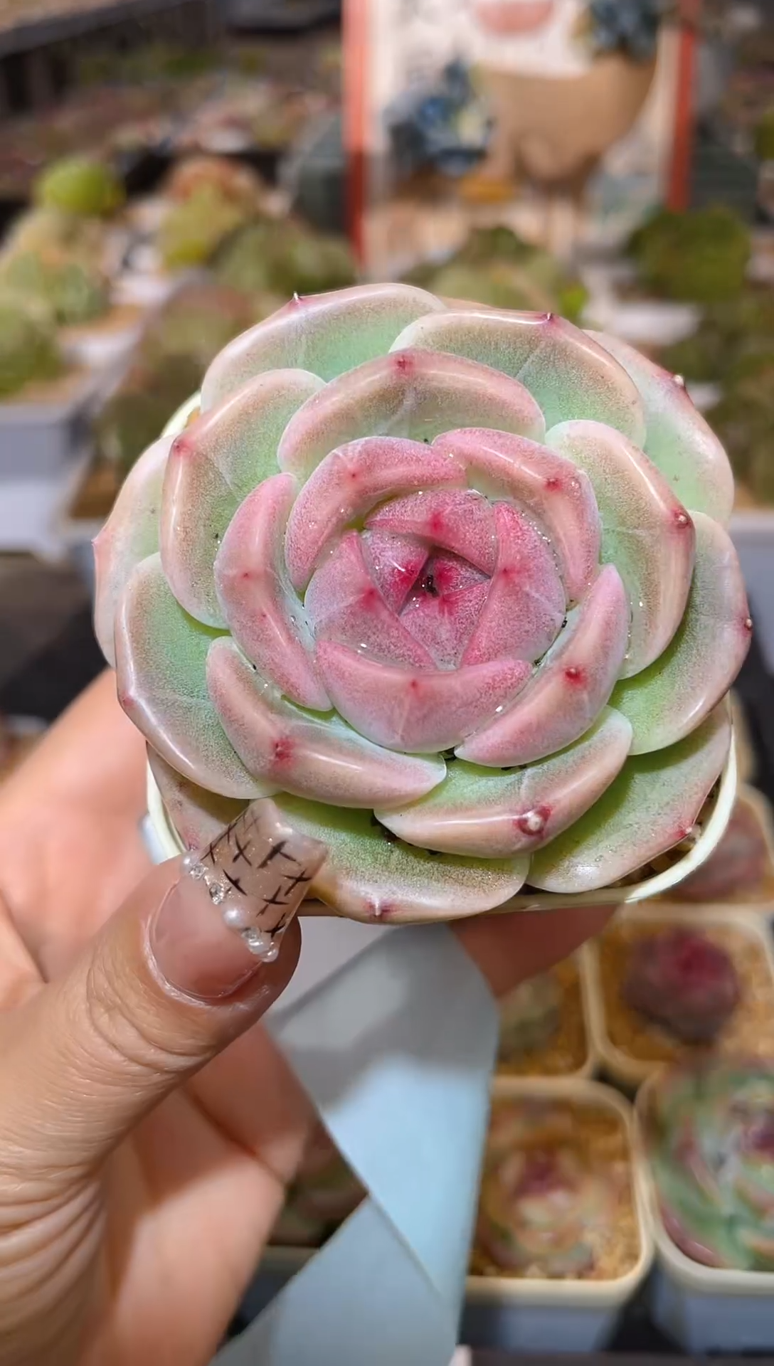 【闪购商品】156超级灯