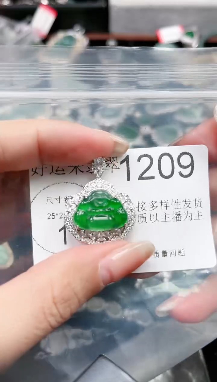 【闪购商品】翡翠颈饰未镶嵌1209赠皮绳