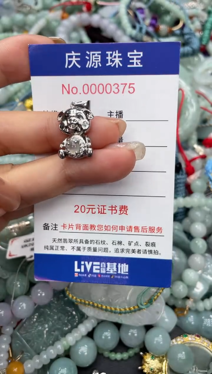 翡翠未镶嵌颈饰254
