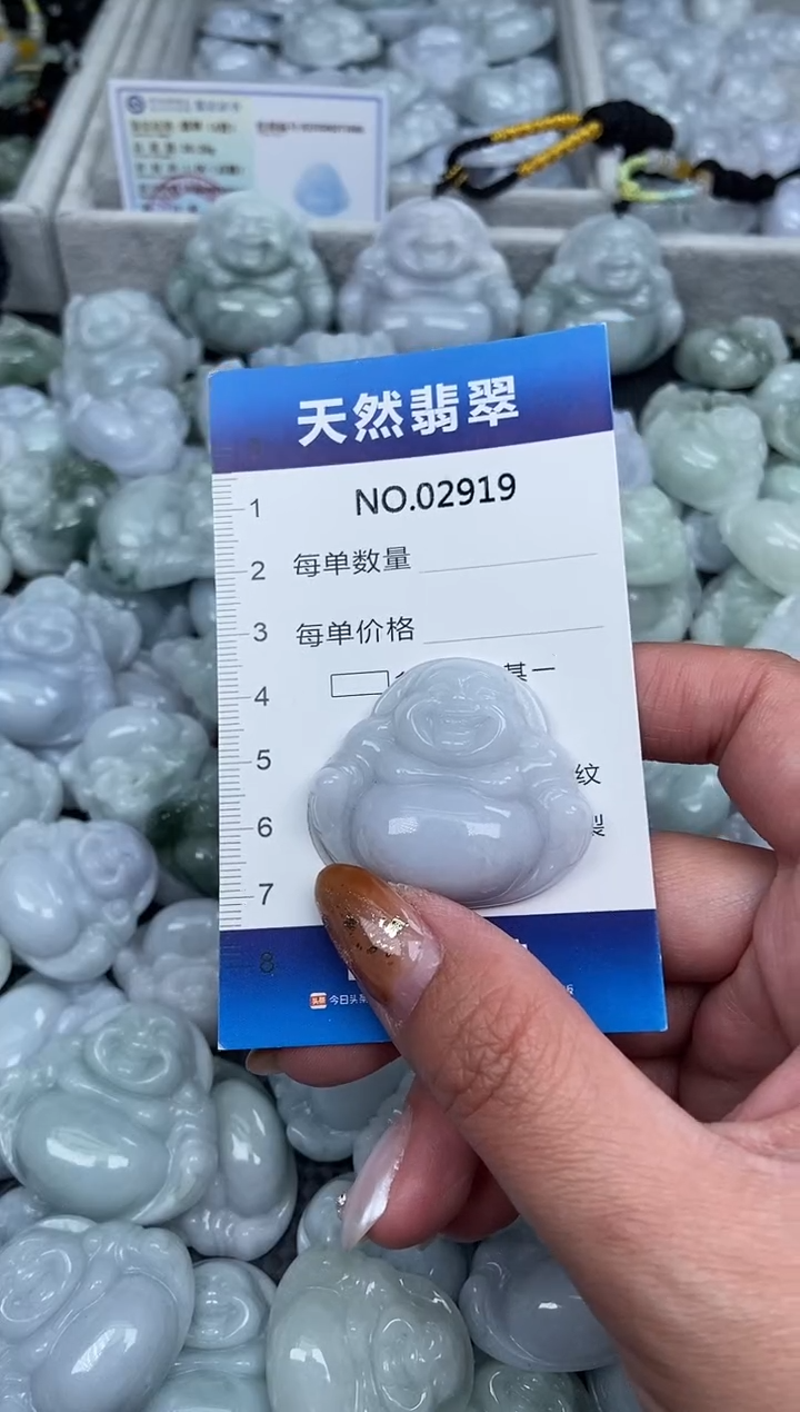 颈饰未镶嵌翡翠纯天然A货翡翠2919