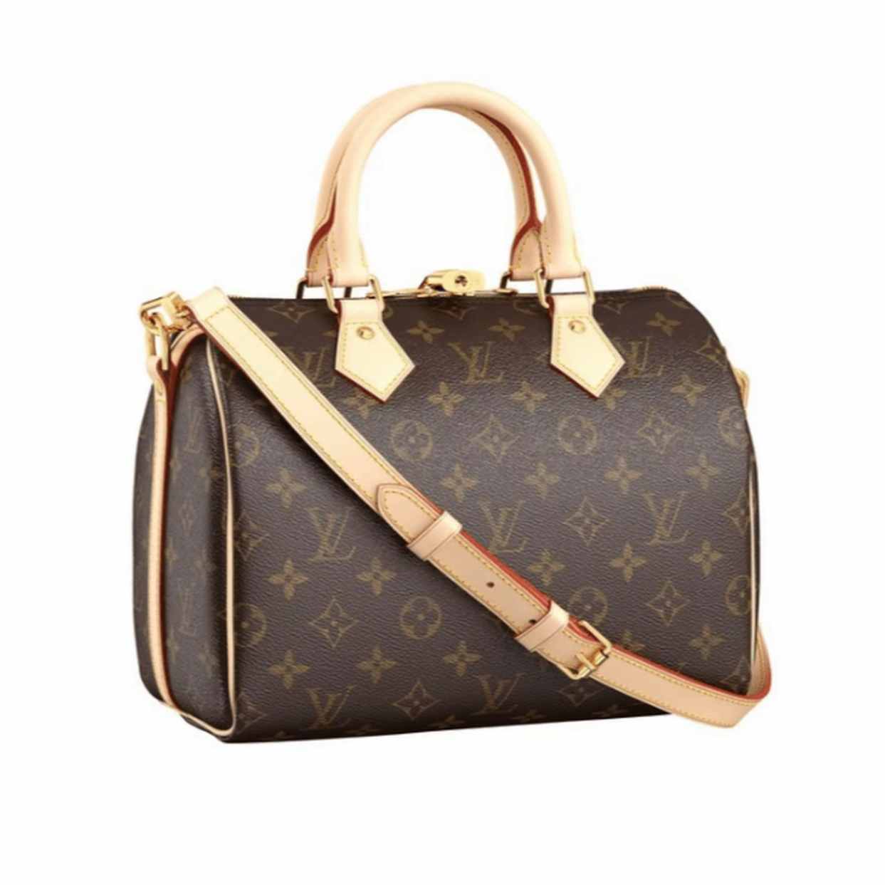 99新 LouisVuitton/路易威登 茜茜/sp25肩带现代款波士顿枕头包