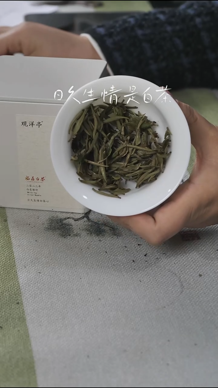 2023年一级白毫银针50克/罐 配样泡