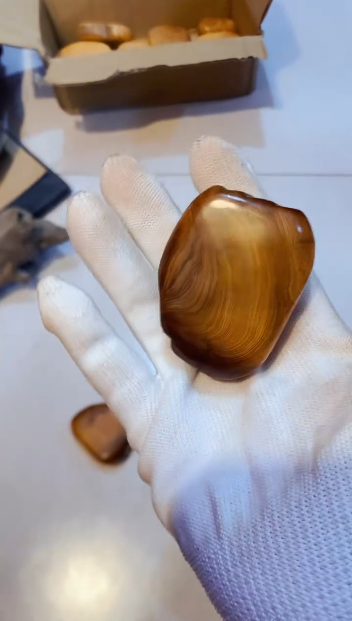 柏木（崖柏）10雷北太行崖柏手把件手串