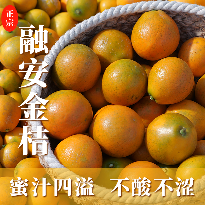 顺丰包邮-正宗广西融安第三代脆密金桔新鲜采摘纯甜多汁礼盒装