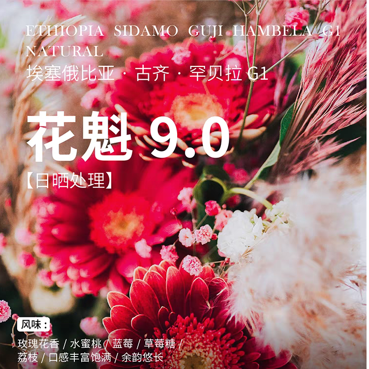 无解埃塞俄比亚2025年花魁9.0Xr超甜精品手冲咖啡豆