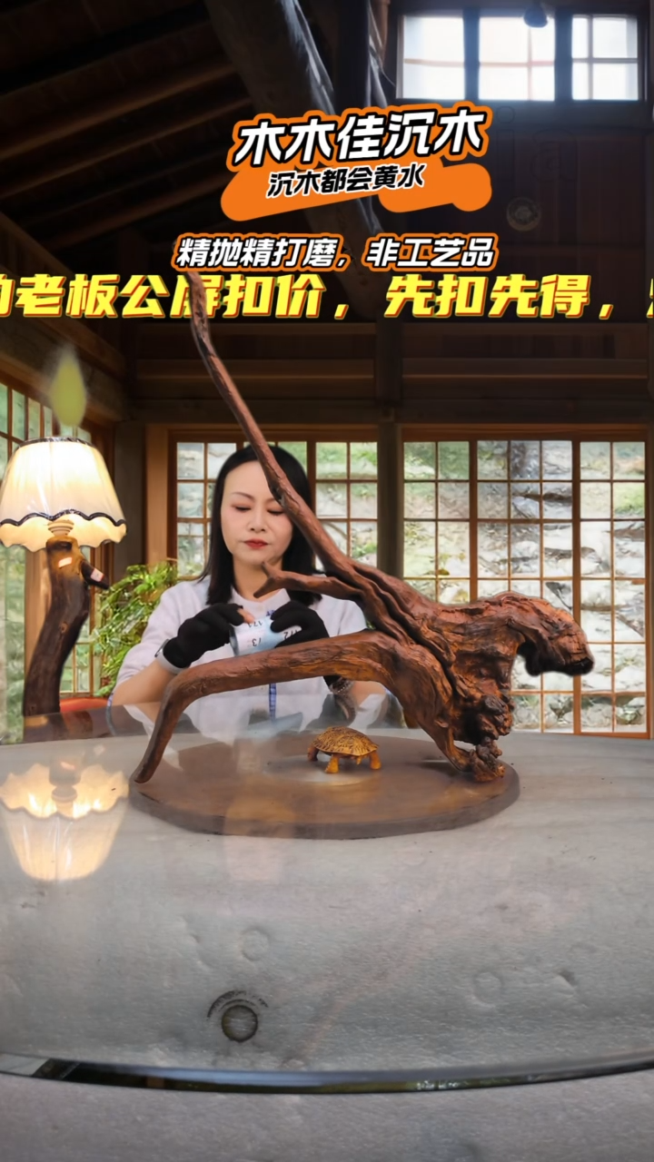 看****见木木佳沉木鱼缸造景