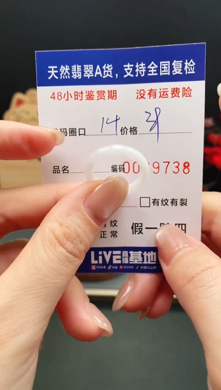 未镶嵌戒指翡翠9738