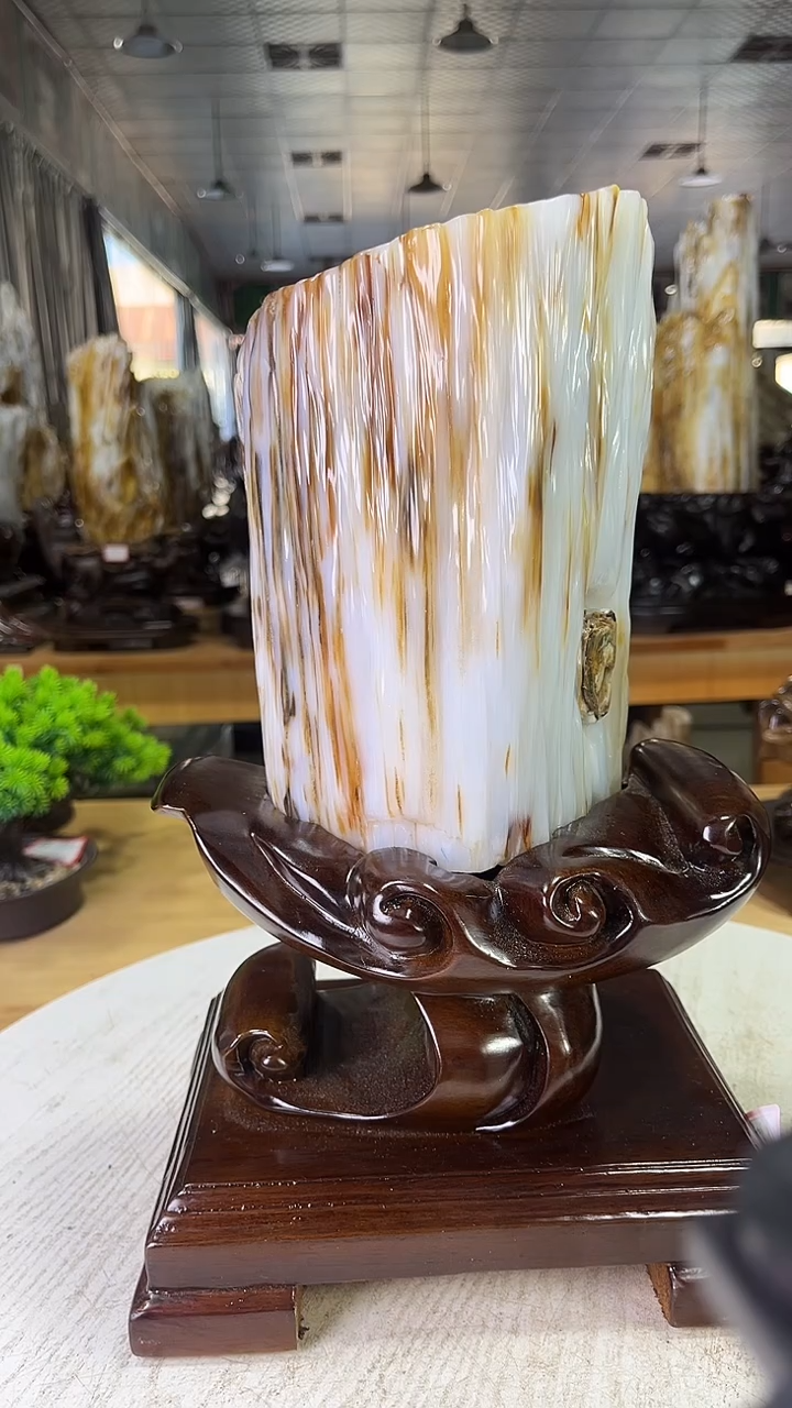 未镶嵌珠宝奇石硅化玉650