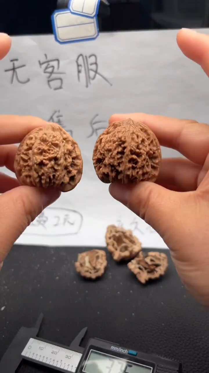 把件文玩核桃572满天星