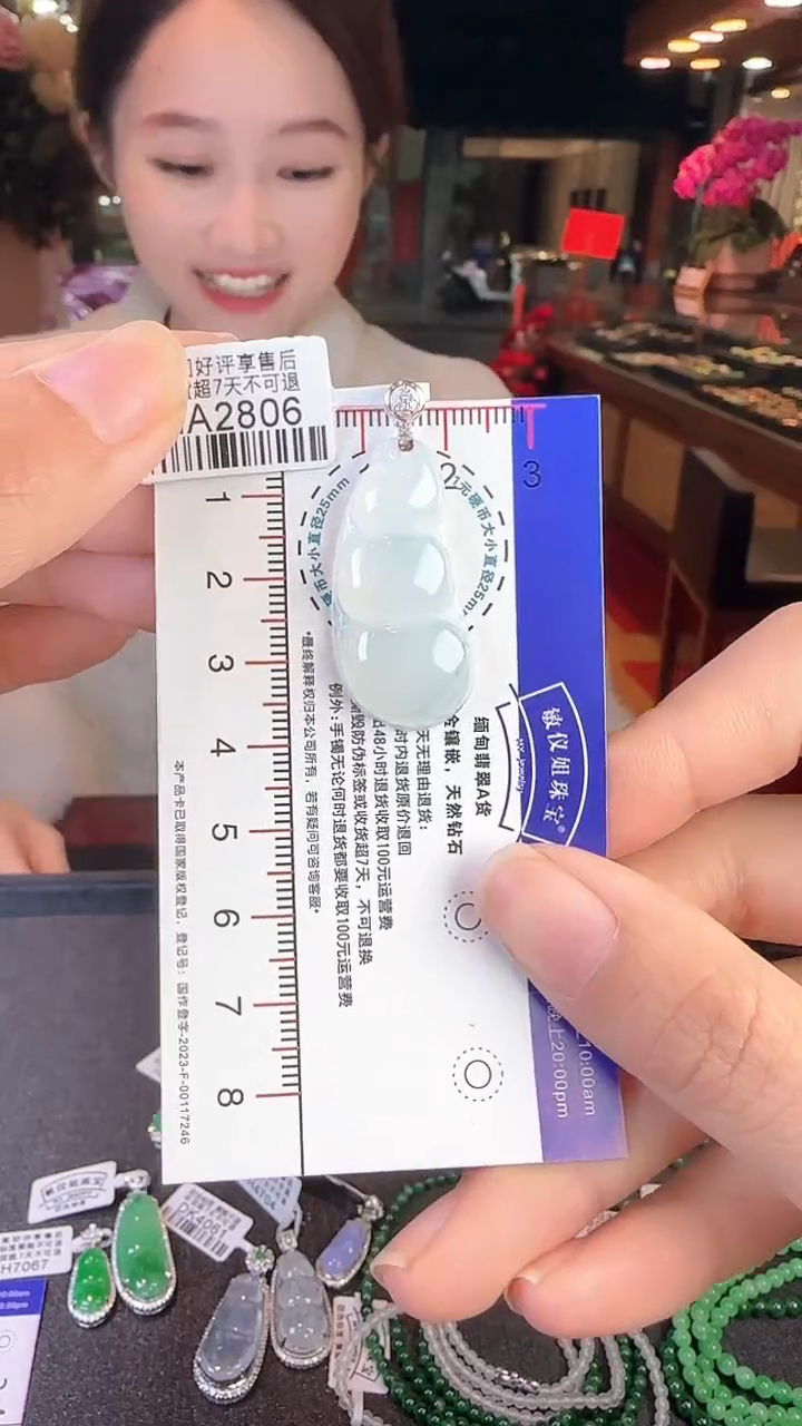 【闪购商品】翡翠颈饰18K金镶嵌HA2806冰豆豆