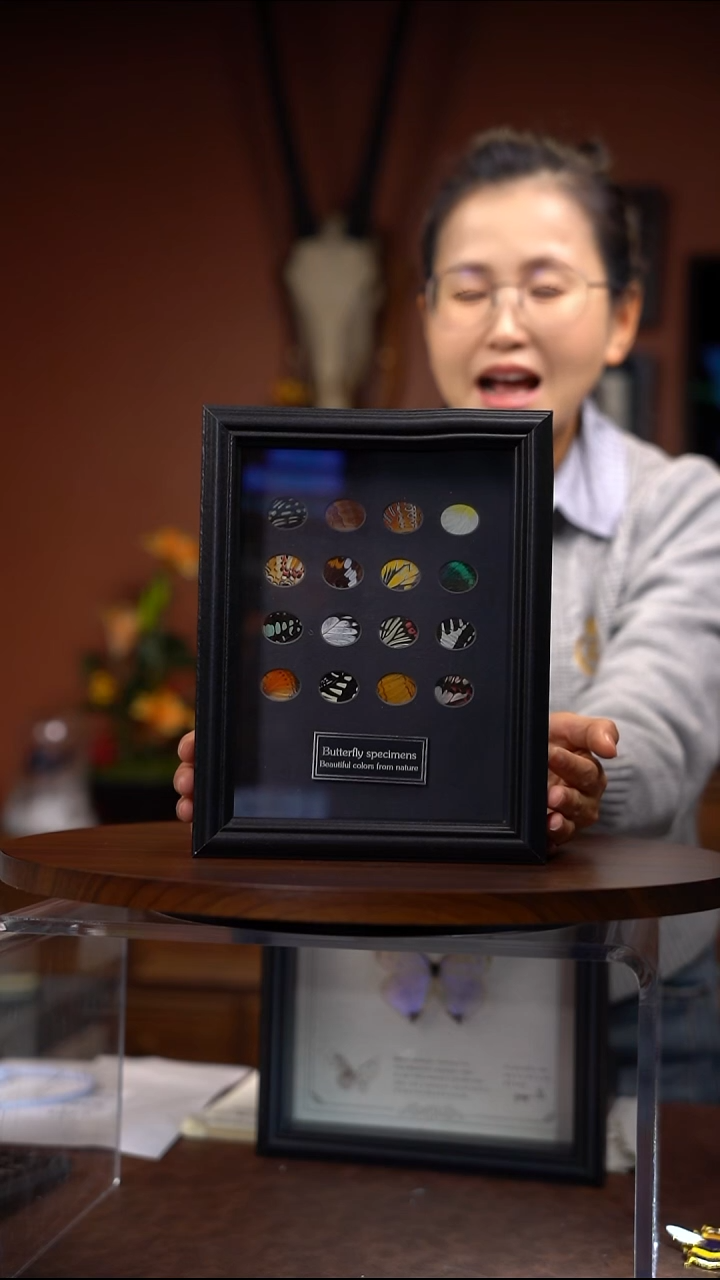 16中蝶翅眼影盘款（常规）