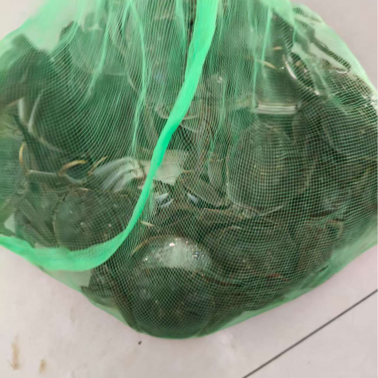 【精品】大螃蟹3-4两一只