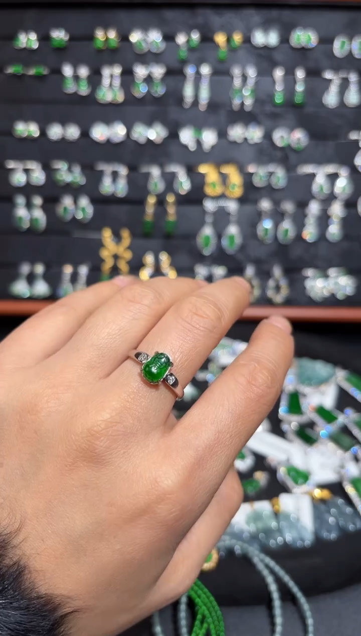 【闪购商品】翡翠颈饰银S925镶嵌貔貅/支持复检/一件