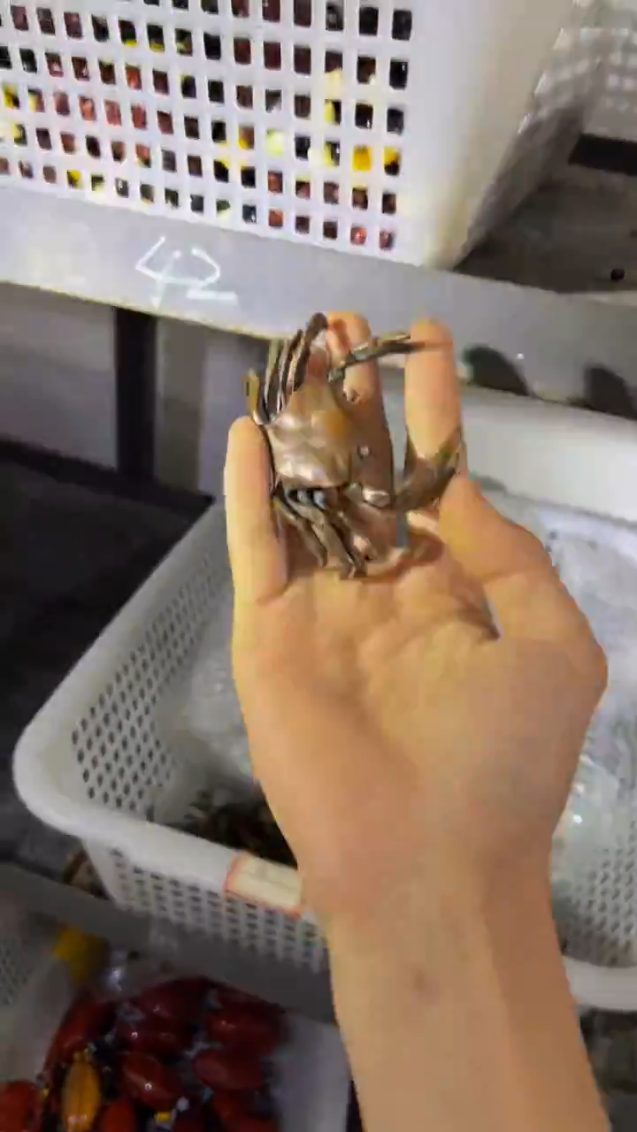 清清清主播精选链接———————螃蟹