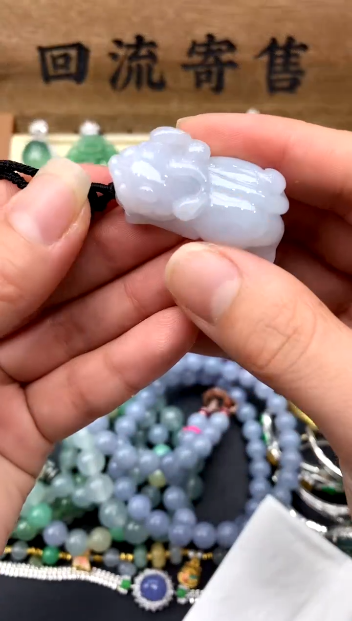 【闪购商品】翡翠颈饰未镶嵌94-中国好珍宝