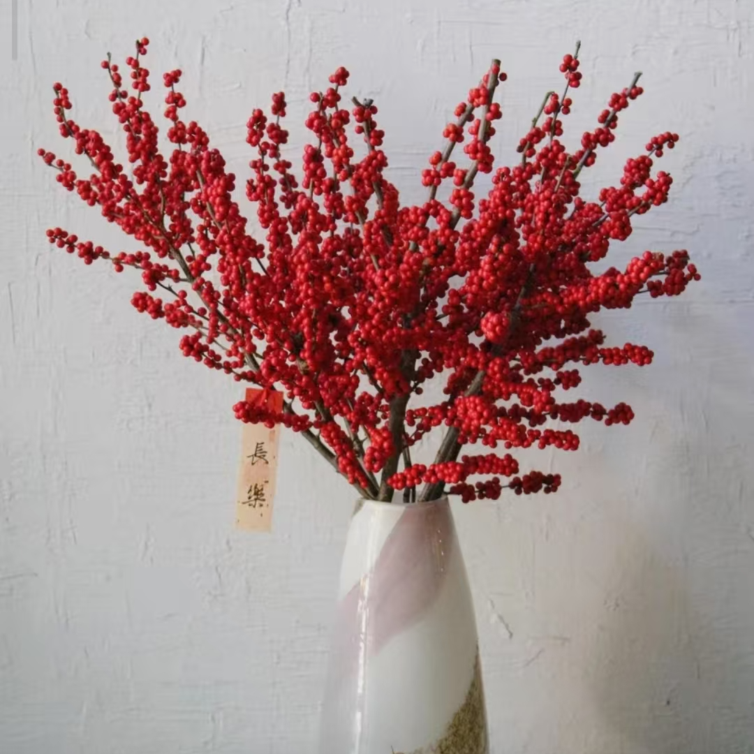 AAA级喜庆红果北美冬青鲜花年宵花水培观赏佳品40CM-50CM